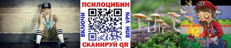 Псилоцибиновые грибы MAGIC MUSHROOMS сколько стоит Хилок